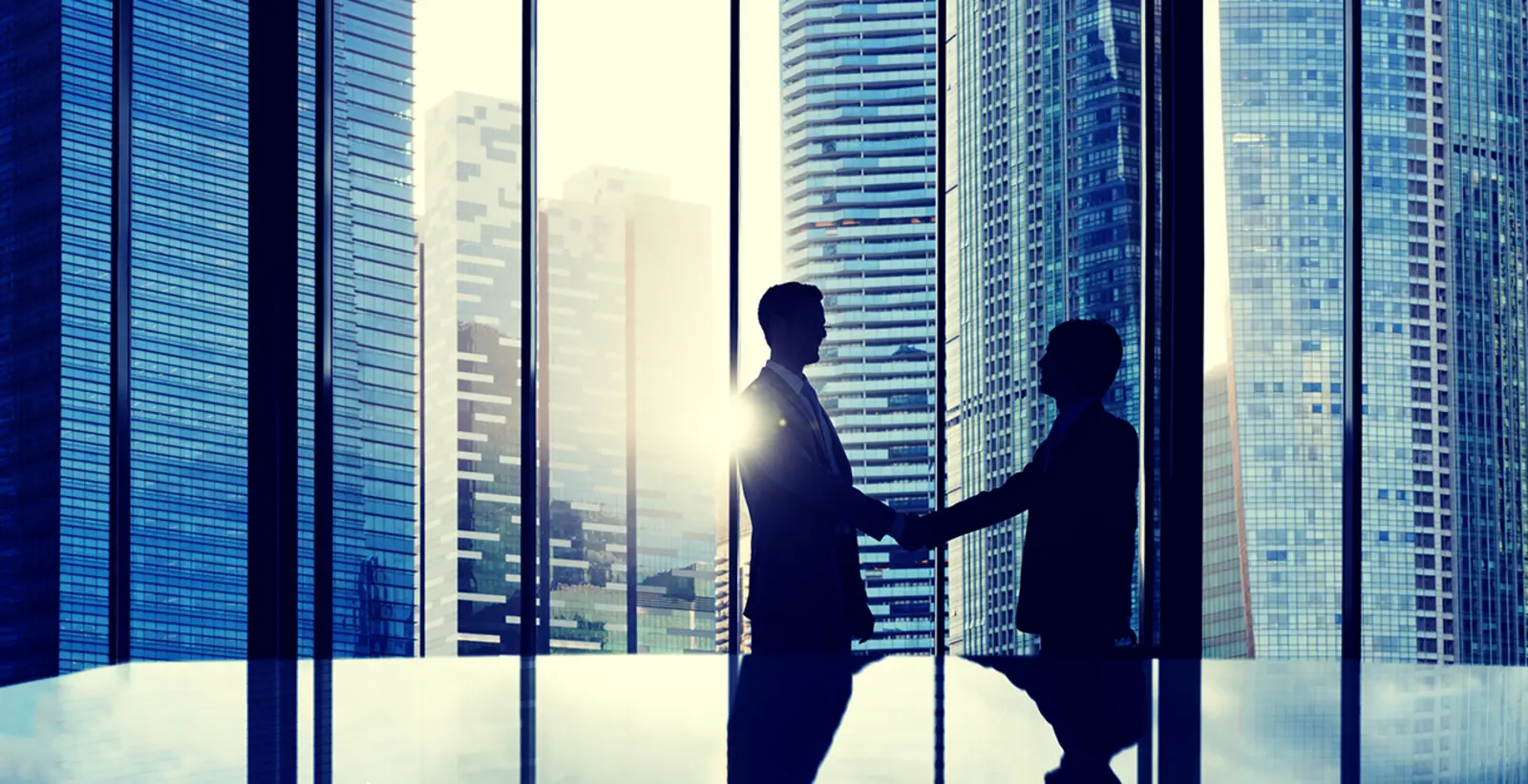 Le nostre competenze